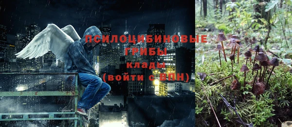 MESCALINE Аркадак