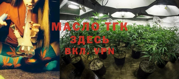 молекула духа Балахна