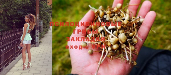 марки nbome Армянск