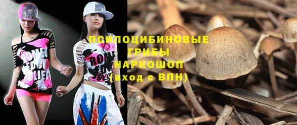 MESCALINE Аркадак