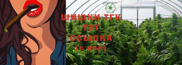 молекула духа Балахна