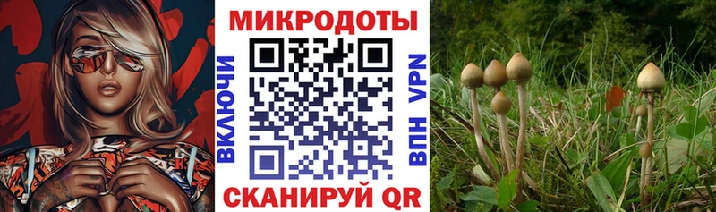 Галлюциногенные грибы мухоморы  Оса 